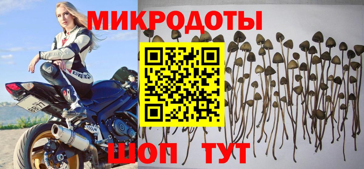 Галлюциногенные грибы MAGIC MUSHROOMS  Псилоцибиновые грибы ЛСД  Долгопрудный  Вход с VPN 